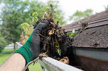 Gutter Cleaning and Maintenance